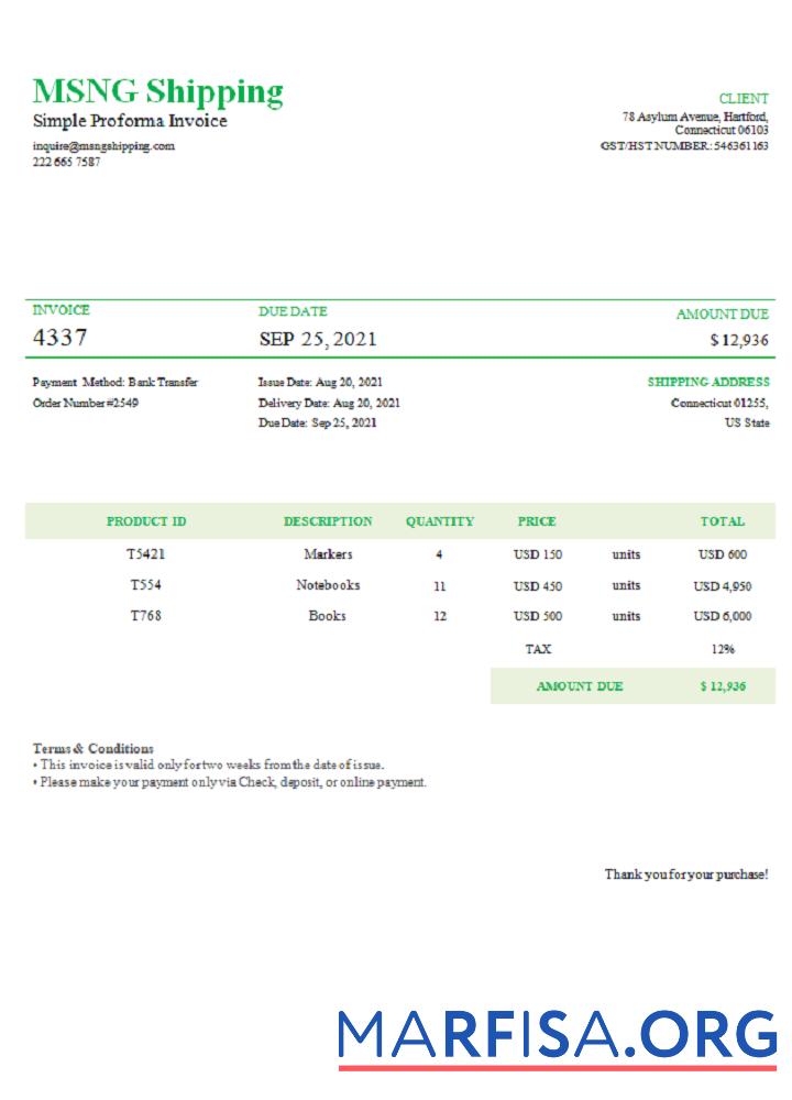 Blank USA MSNG Shipping invoice download for verification